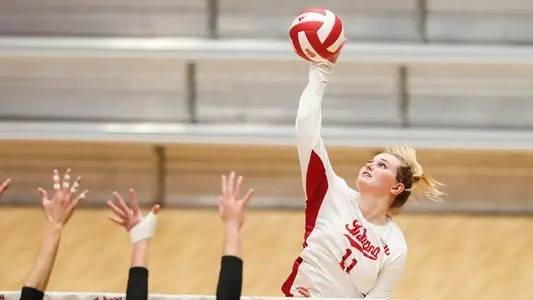 Sultanlar Ligi'ne Amerikalı damgası: Hem güzel hem sayı makinesi 4